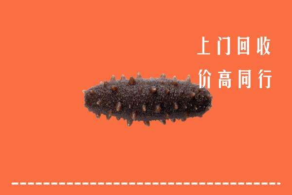 利津县回收海参