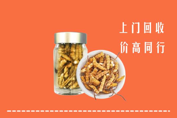 利津县回收冬虫夏草