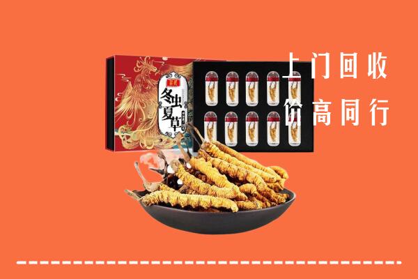 利津县回收虫草